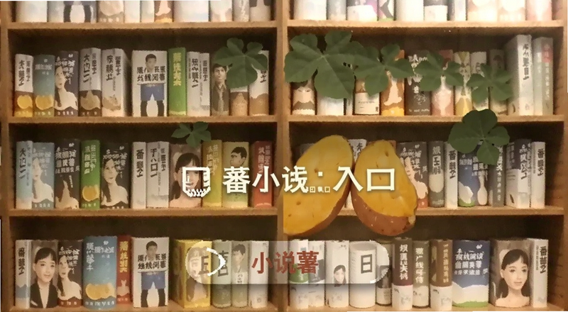 番薯小说书架离线阅读入口预览图