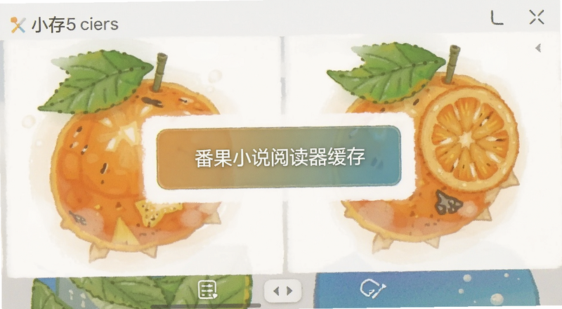 番果小说阅读器缓存按钮界面预览图