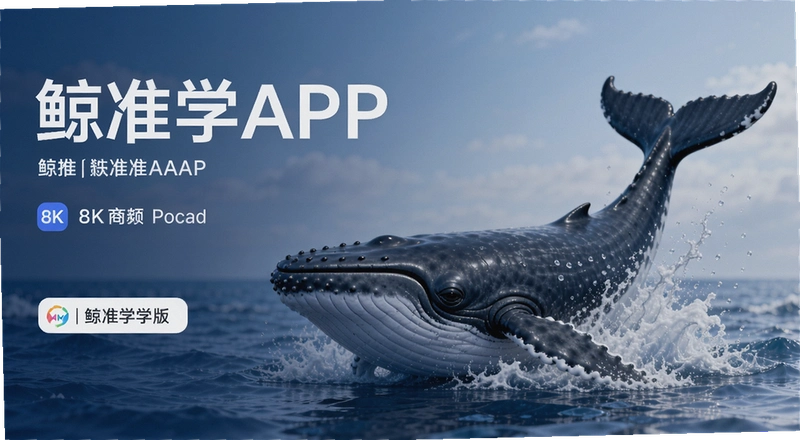 ��׼ѧAPP��ô����������ʵʹ���������