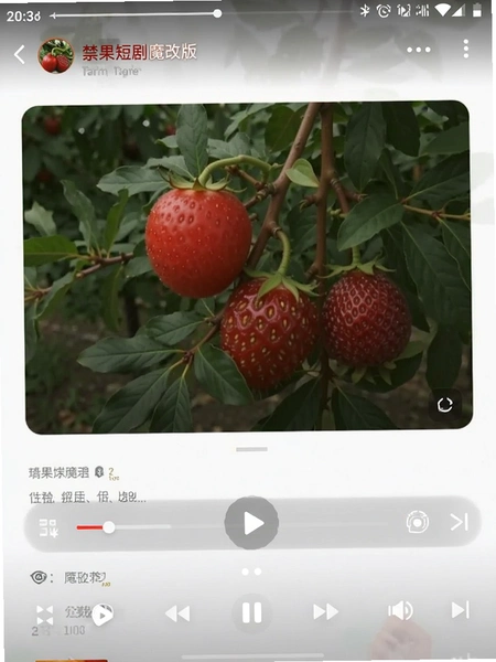 禁果短剧魔改版下载2026最新版截图 禁果短剧魔改版下载2026最新版截图