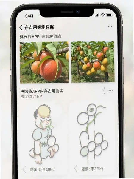 ��԰��APP�ڴ�ռ��ʵ�����ݽ�ͼ