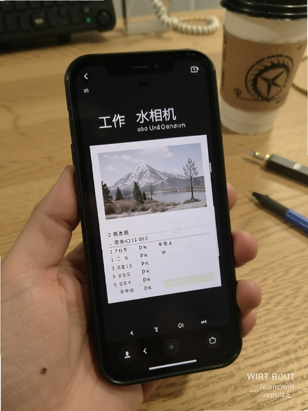 ˮӡ���������¼ˮӡģ��ʵ��ͼ