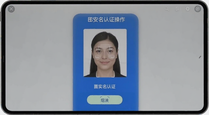 B��ʵ����֤����ʶ���������Ԥ��ͼ