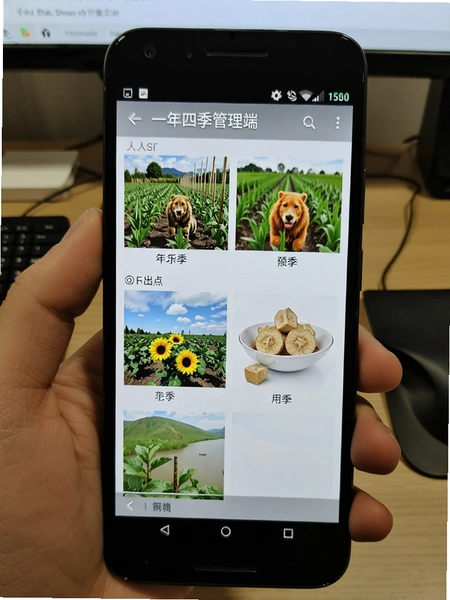 һ���ļ��������ڰ�׿�ֻ��ϵ����л���