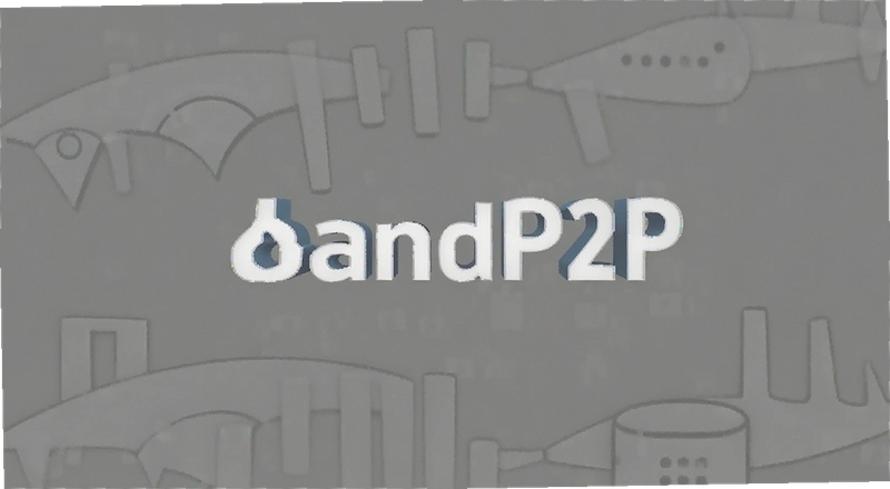 B��P2P���¶�̬ �������ߵ����밲ȫ���׳���������