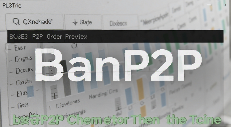 b��P2P������¼��ͼԤ��ͼ