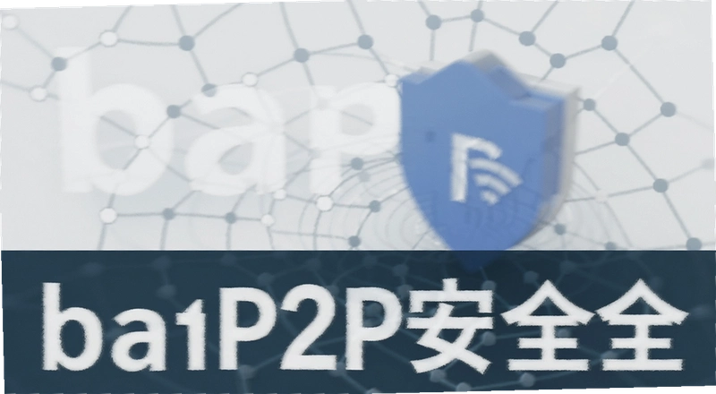 B��P2P��ȫ�� �û���ʵ��������ս���