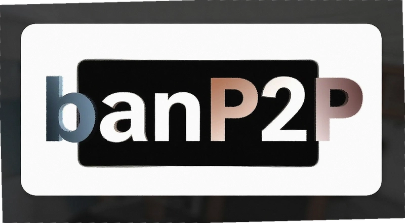 B��P2P���ڻ������� �����û���β���B��P2P