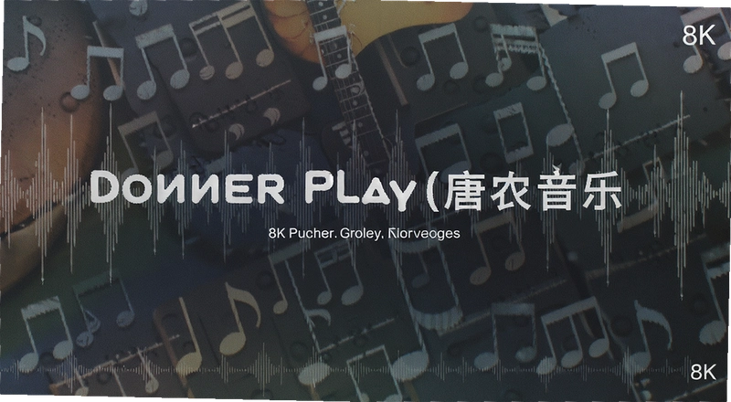 ��ũ����Donner Play��ô�ã�����ʧ����ô�죿