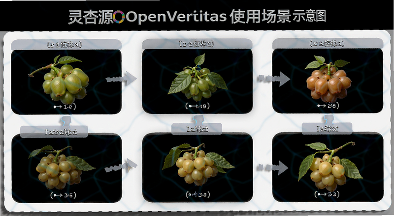 ����ԴOpenVeritasʹ�ó���ʾ��ͼ