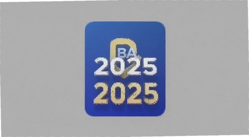 BA���������2025���½̳� ֧����Щ��ʽ���˿���