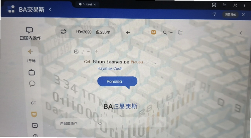 BA�����������ڲ�������Ԥ��ͼ
