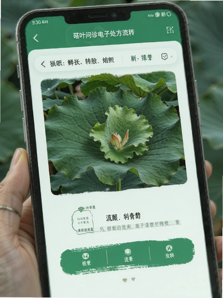 荷叶问诊电子处方流转界面