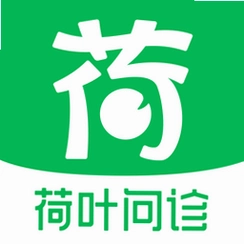 ��Ҷ����(��Ҷ����)v1.3.1 �������￪��