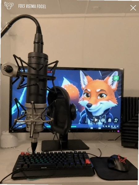 ������fox ��Ϸ�������ʵ���ͼ