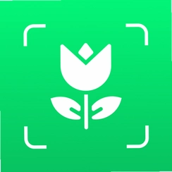 ����ʶ����v1.0.5 ��Ʒ��ͼ��ʶ�𹤾�