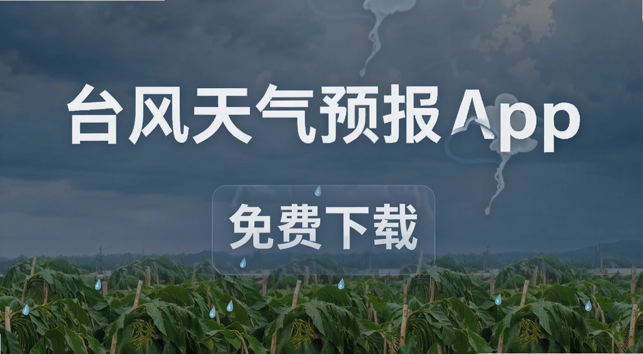 ̨������Ԥ��app