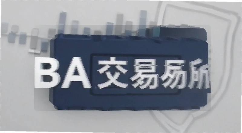 BA������P2P������ô��Ű�ȫ����