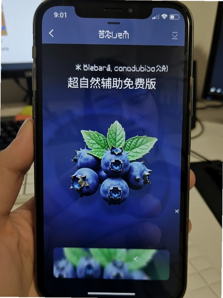 ��ݮ����Ȼ������Ѱ����ؽ�ͼ