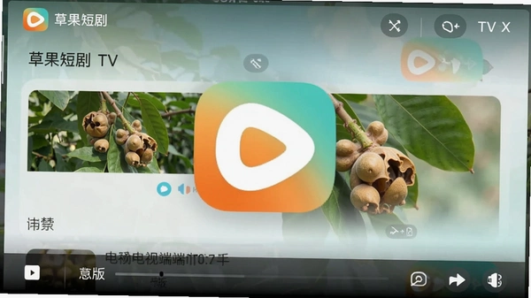 �ݹ��̾�tv���ͼ