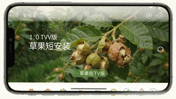 �ݹ��̾�tv���ͼ