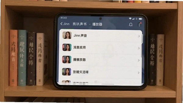 Jinn�����鲥�����ٷ����ͼ