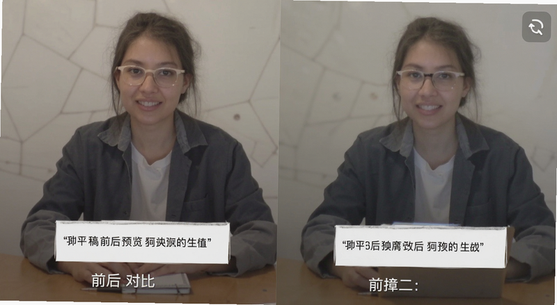 文章改稿前后对比截图预览图