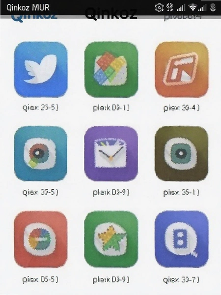 Qinkoz应用内存占用截图