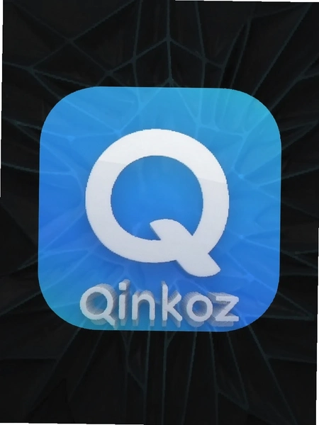 Qinkoz软件图标