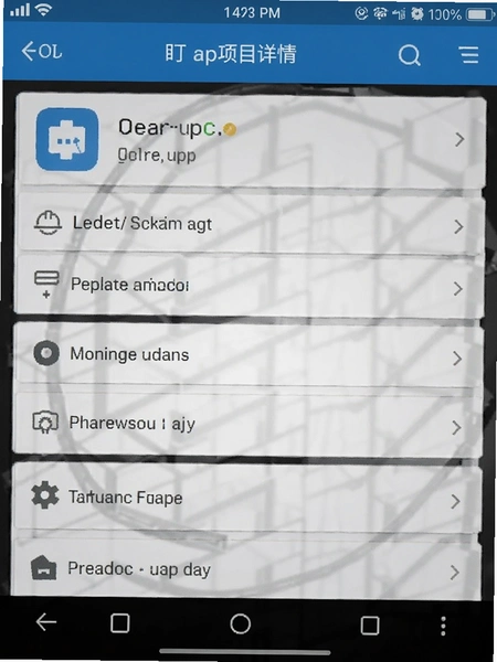 ������app��Ŀ��������ͼ