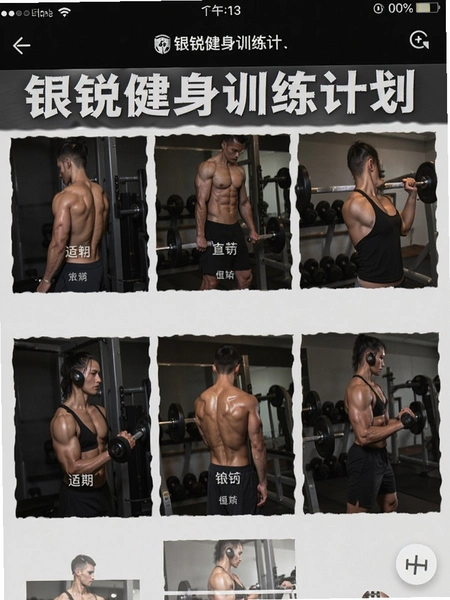 银锐健身训练计划界面截图