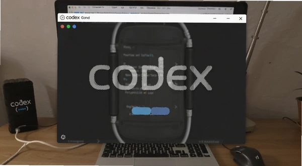 Codex�������߲�����ͼ