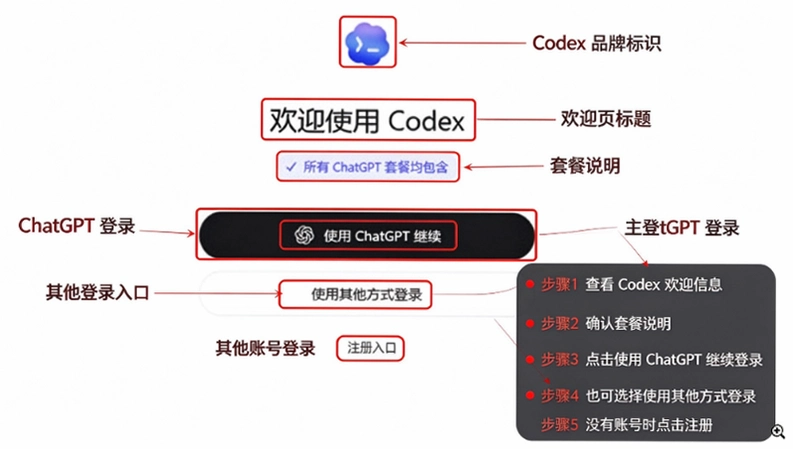 Codex�������߲�����ͼ