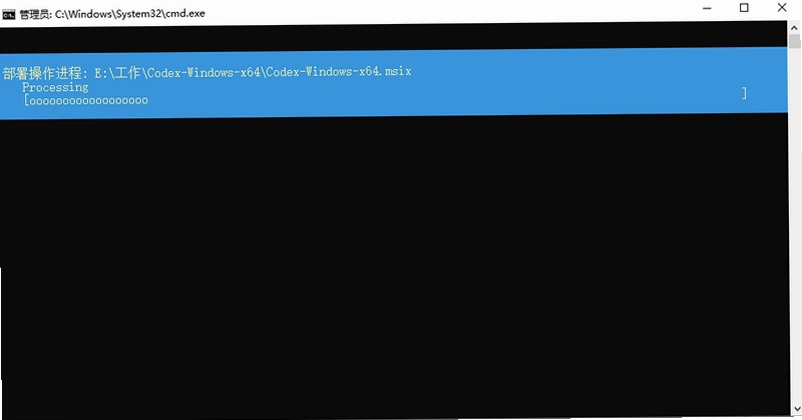Codex�������߲�����ͼ