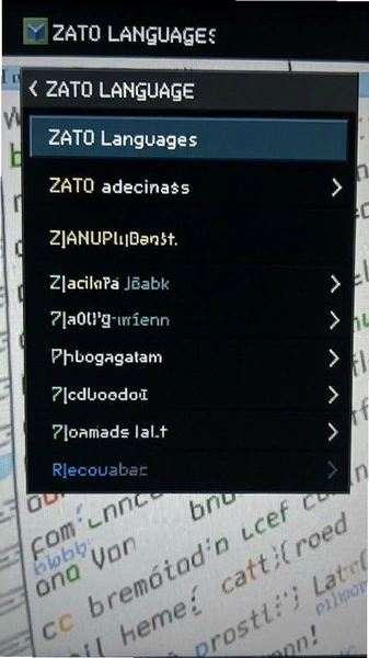 ZATO�������ò˵�