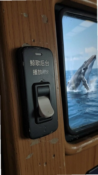 �����̨���ſ���λ��