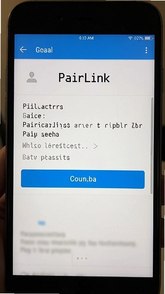 PairLink��װȨ�����ý�ͼ