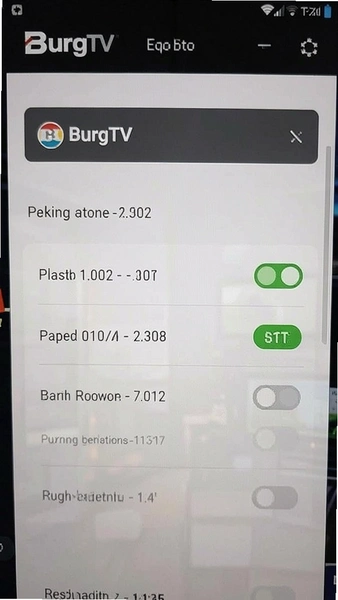 BurgTV����ҳ�����Զ����ſ���