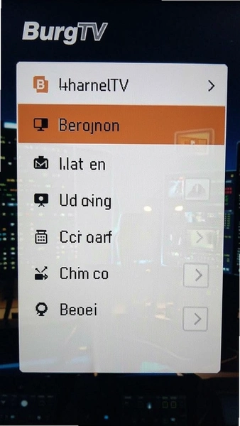 BurgTVƵ����·�л��˵�