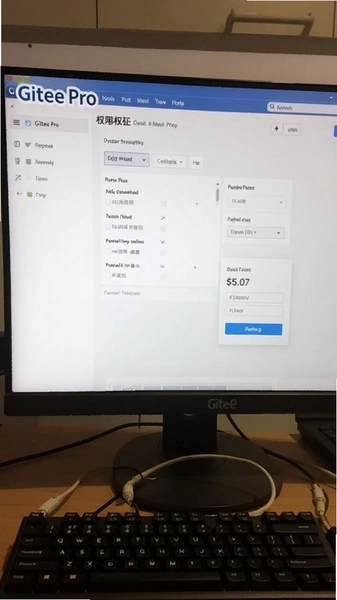 Gitee Pro��װȨ�����ý���