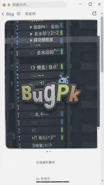 BugPkȥˮӡ�����ɹ�Ԥ������