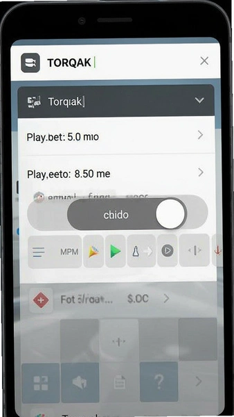 Torqak播放设置清晰度切换界面图