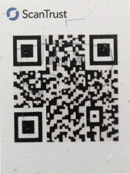 ScanTrust��α�����ͼӡ��д