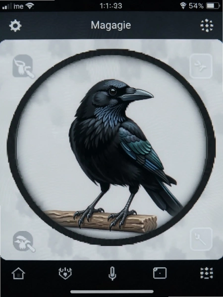 Magpie��Դ��ý�����ع��߽�ͼ