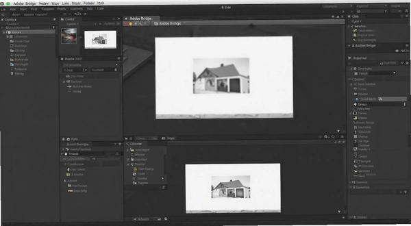 Adobe Bridge ���沼��