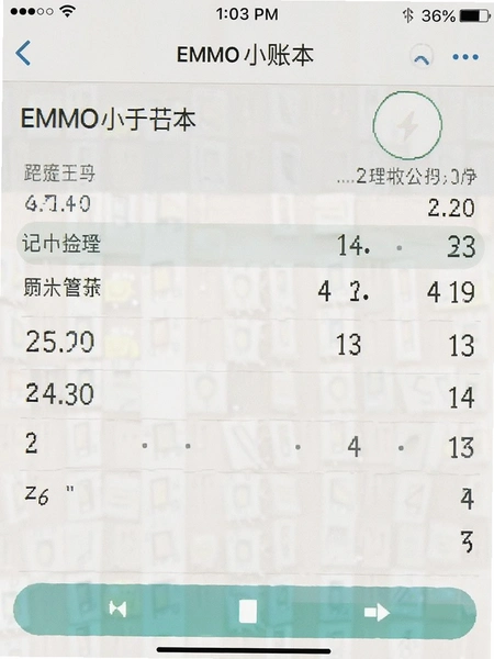 EMMOС�˱����˽����ͼ