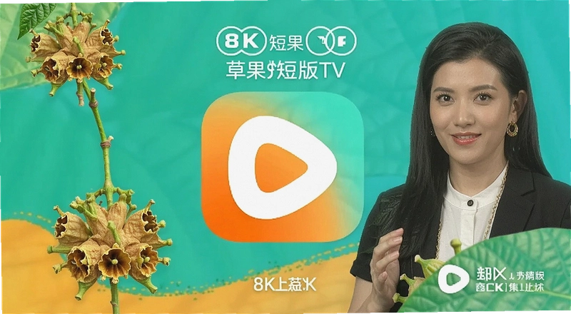 �ݹ��̾�TV����ô���ذ�װ������ͨ����ʲô����