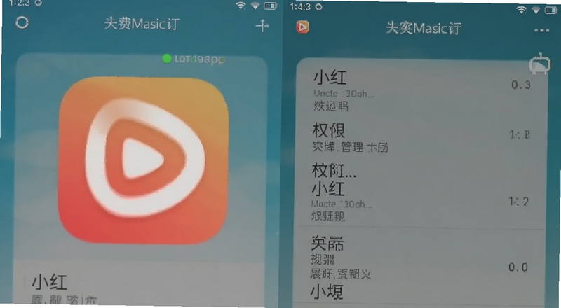 小红免费短剧App安卓版权限管理页面预览图