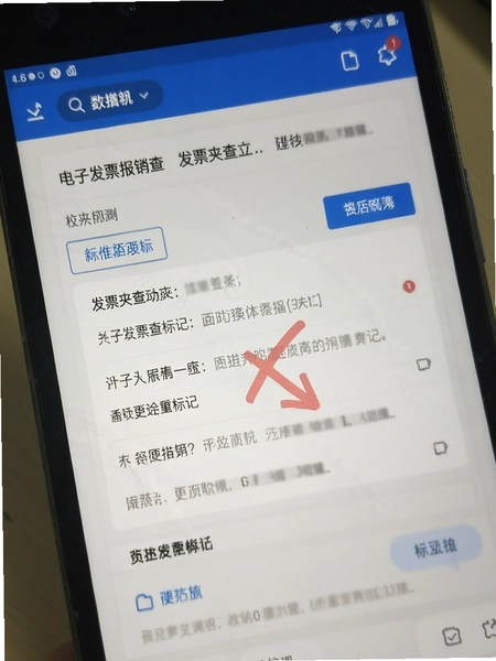 电子发票报销查 发票夹查重标记界面