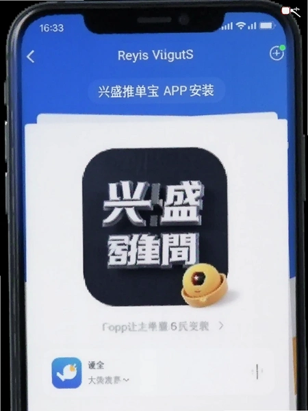 兴盛推单宝APP安装界面截图
